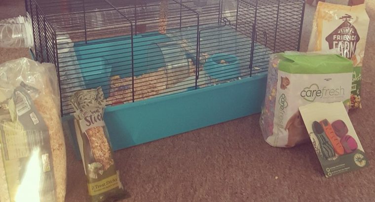 Baby hamster & full set up & free health check