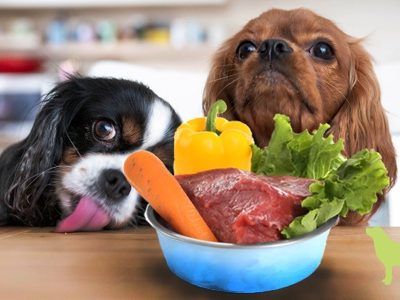 Diet Dog Food and Prices