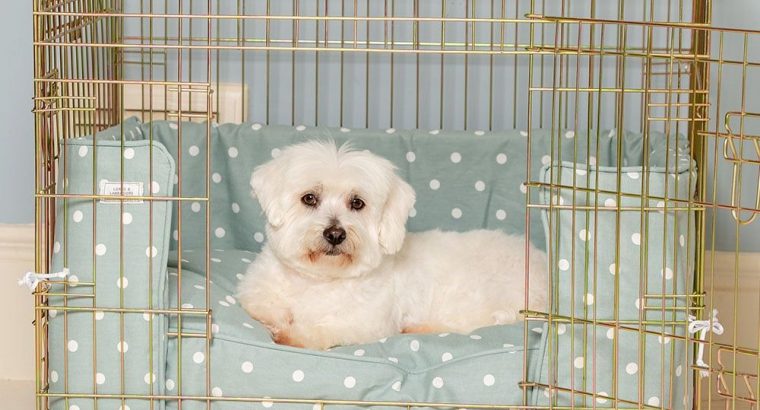 Dog Cages and Prices | Types of Cages for Dog