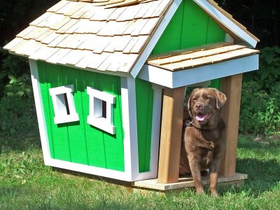 Dog Kennels and Entry-Exit Doors