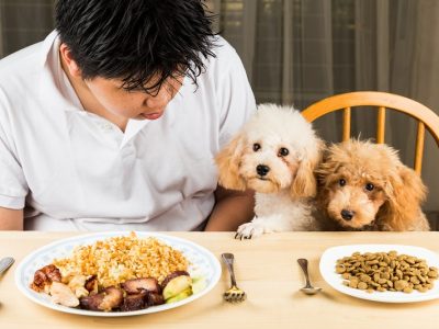 What is Dog Food? | What are the dog food types?