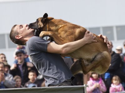 Why Do Dogs Jump On People? | Behavioral Disorders in Dogs